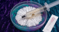 Microscopy Isolated Spore Syringe (10cc)