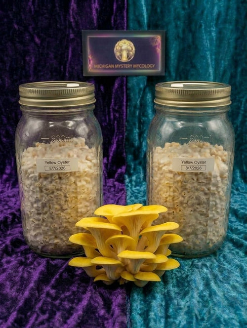 Gourmet & Functional Grain Spawn Jars (1lb)